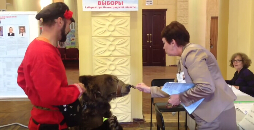 [视频]俄罗斯举行地方选举 选民带熊参加投票