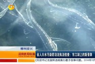 省人大水污染防治执法检查：东江湖上的新景象