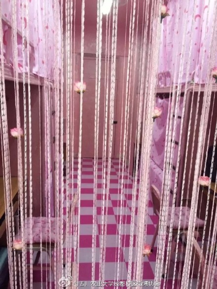[视频]四川高校惊现“少女粉系”男生宿舍