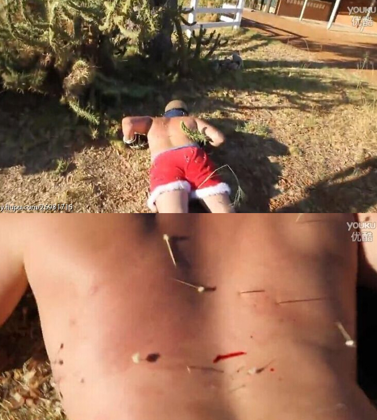 [视频]不作不会死！逗比男子赤膊上身跳进仙人掌里