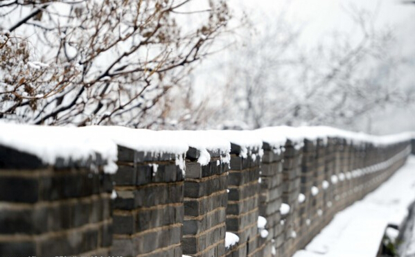[视频]北京降雪如期而至 长城内外尽显冰雪情趣