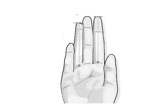 [视频]参考消息：女性无名指比食指长 更容易生女孩