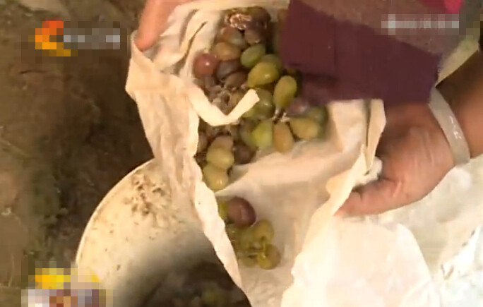 [视频]十万斤葡萄遇连续阴雪天 三年辛苦要泡汤