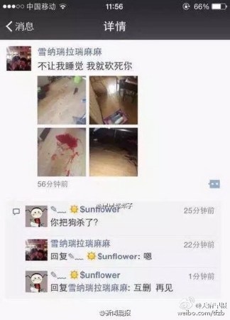 [视频]因嫌其吵闹 女子砍断领养流浪狗腿和尾巴