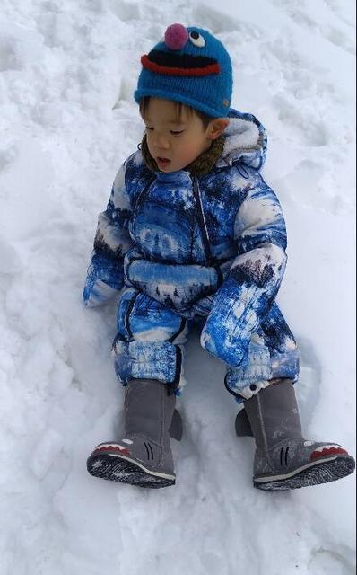 [视频]霍思燕晒爱子玩雪照 嗯哼大王包裹严实心情好