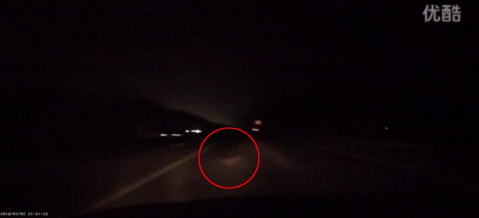 [视频]男子高速上避让小猫出意外 冲出高速路坠亡