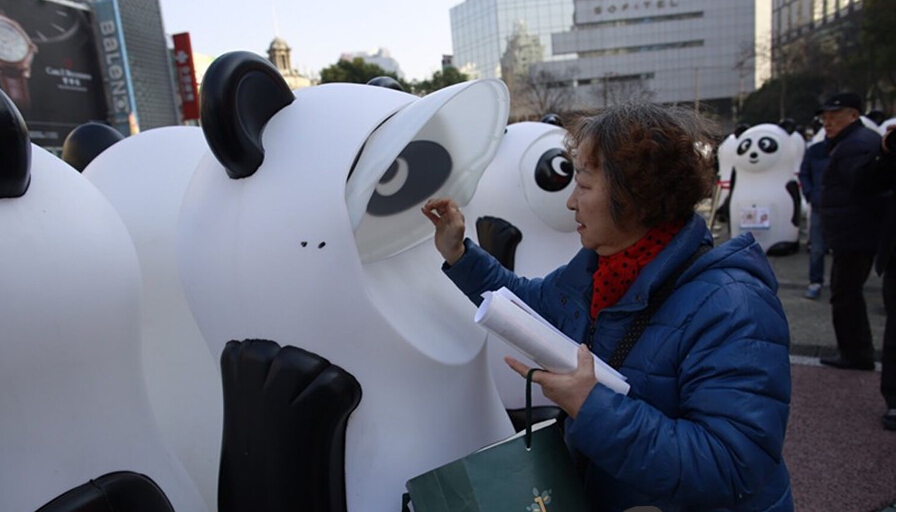 [视频]800只“大熊猫”现身街头 统一回收旧衣物