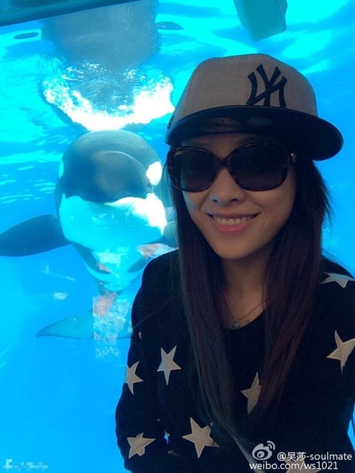 [视频]刘翔女友吴莎甜美私房照曝光 为撑杆跳运动员