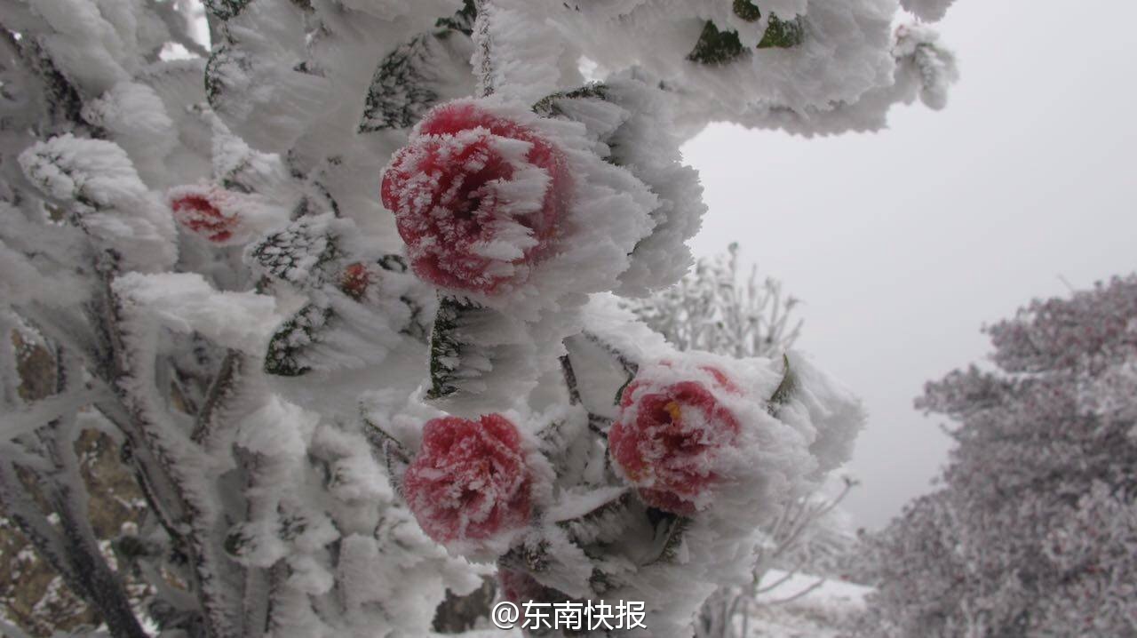 [视频]福建九仙山测风塔变“九层妖塔”