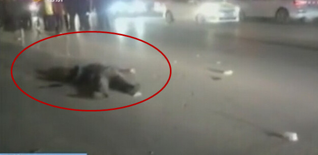 [视频]“疯狂轿车”挂女尸跑600米 醉驾惹出人命求“理解”