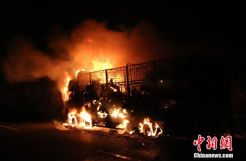 [视频]广西高速货车起火 300头活羊变“烤全羊”
