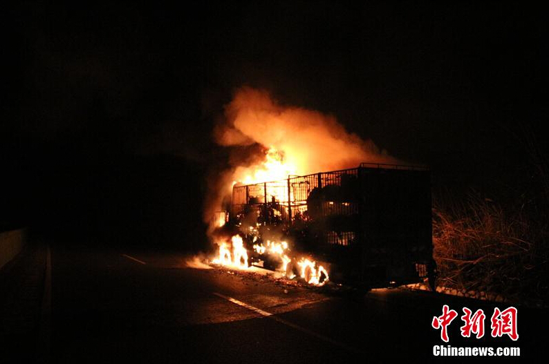 [视频]广西高速货车起火 300头活羊变“烤全羊”