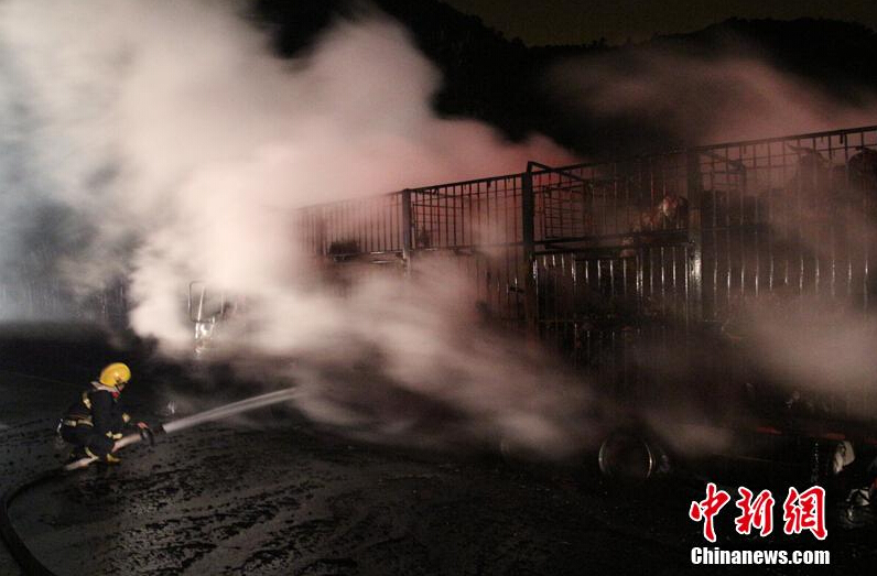 [视频]广西高速货车起火 300头活羊变“烤全羊”