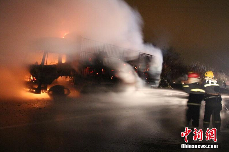 [视频]广西高速货车起火 300头活羊变“烤全羊”