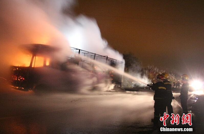 [视频]广西高速货车起火 300头活羊变“烤全羊”