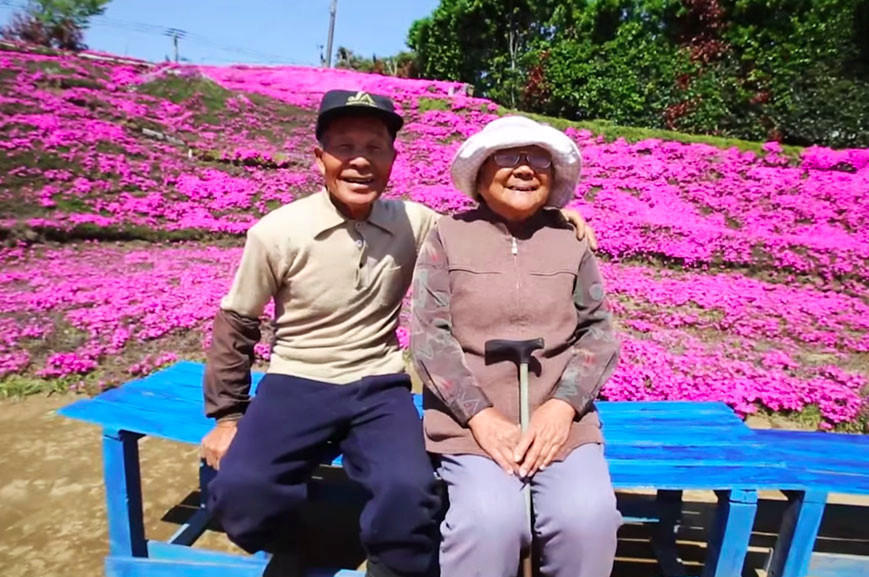 [视频]有爱浪漫！日本老人为失明妻子种出一片花海