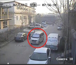 [视频]被掳走的导盲犬乔乔回家了