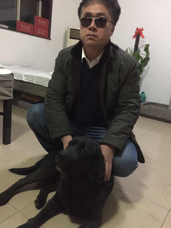 [视频]被掳走的导盲犬乔乔回家了