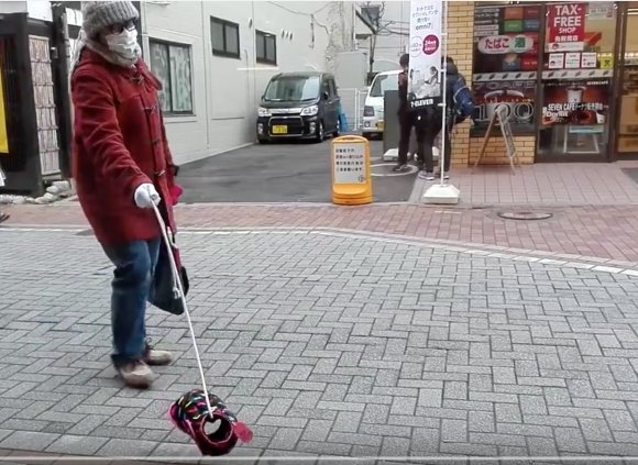 [视频]日本街头现“隐形狗” 漂浮空中汪汪叫吓坏路人
