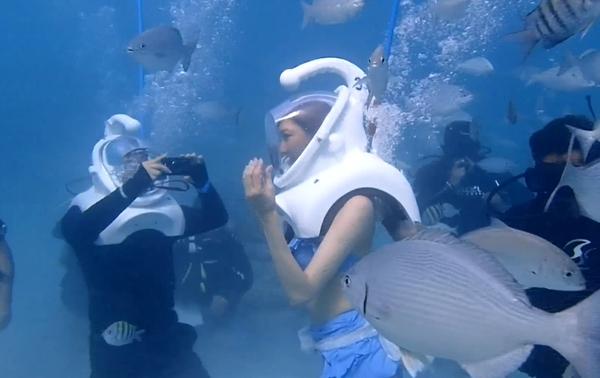 [视频]太撩人！林志玲穿比基尼漫步海底 