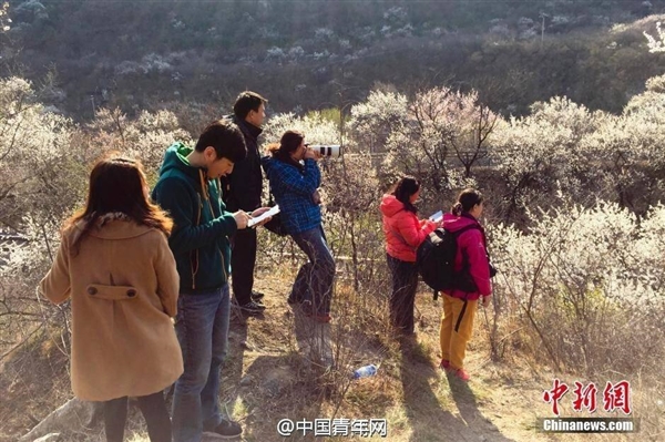 [视频] 游客取景逼停S2线 居庸关花海封入口