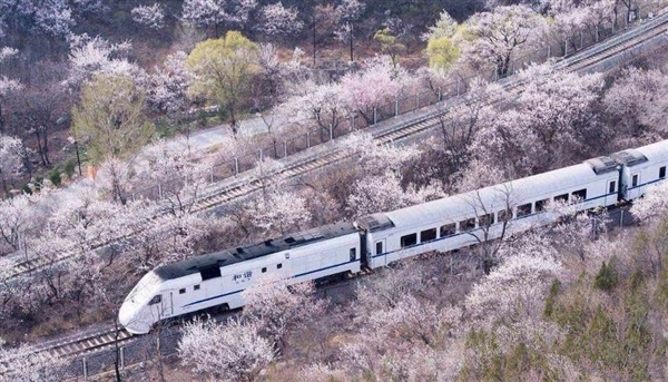 [视频] 游客取景逼停S2线 居庸关花海封入口