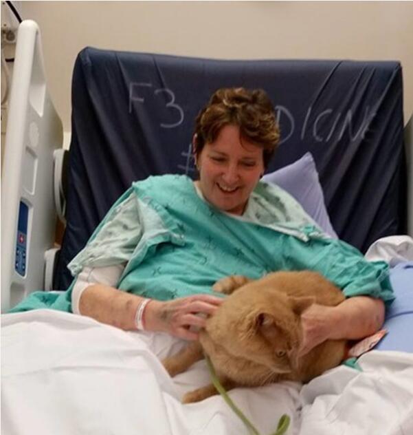 [视频] 加拿大人性化医院新举措 允许宠物探望主人