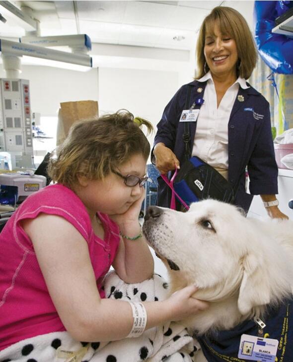 [视频] 加拿大人性化医院新举措 允许宠物探望主人