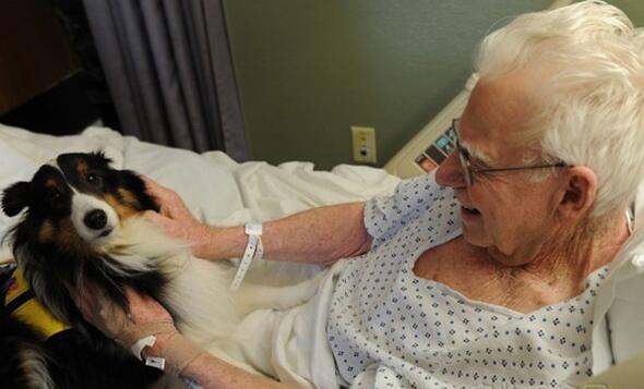 [视频] 加拿大人性化医院新举措 允许宠物探望主人