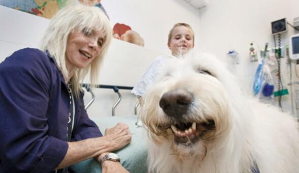 [视频] 加拿大人性化医院新举措 允许宠物探望主人