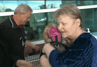 [视频] 加拿大人性化医院新举措 允许宠物探望主人