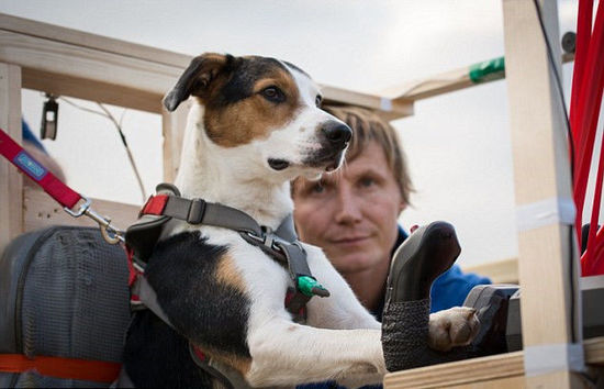 [视频]汪星人也能开飞机？英国专家让你见识狗狗的超凡能力