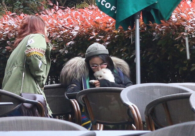 [视频]惊呆小伙伴！张馨予与狗嘴对嘴激吻