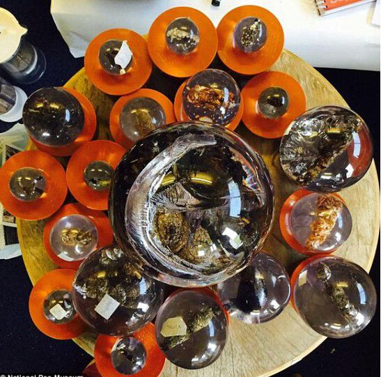 [视频]英国首家便便博物馆 展示18种粪便史上最重口