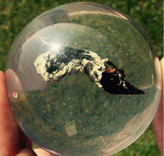 [视频]英国首家便便博物馆 展示18种粪便史上最重口