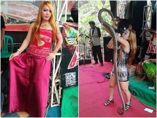 [视频]女歌手被眼镜蛇咬伤 坚持演唱死在台上