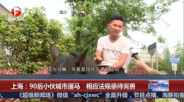 [视频]90后小伙城市遛马：骑马是现代王者的运动
