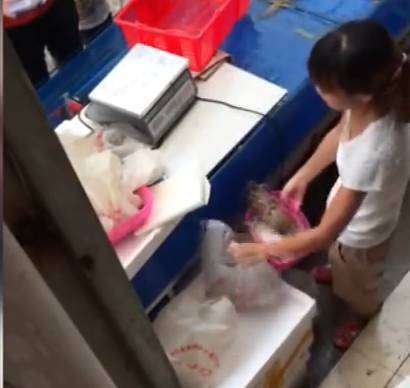 [视频]惊呆了！实拍女商贩1分钟内偷换两次秤
