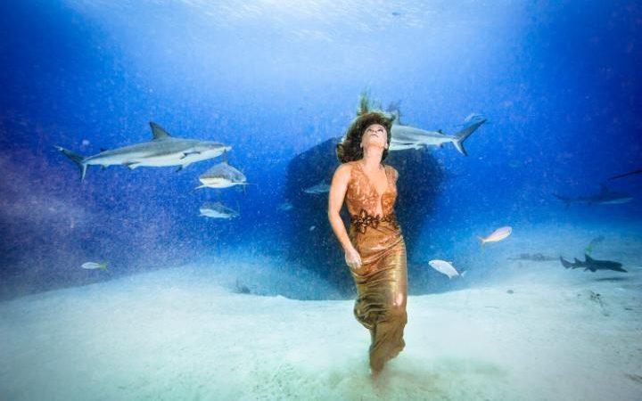 [视频]33岁模特与鲨鱼共舞拍大片 呼吁人们保护鲨鱼