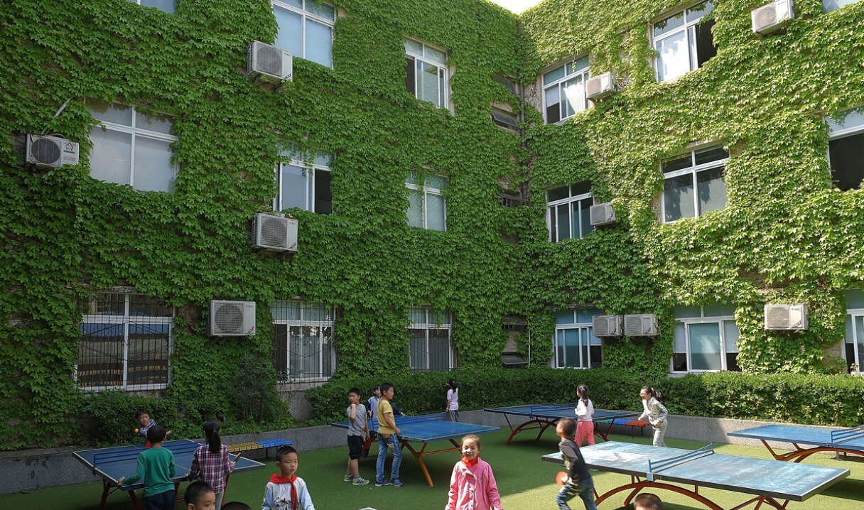 [视频]爬山虎覆盖小学教学楼 变身“绿色城堡”