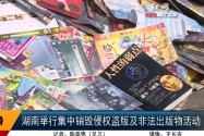 湖南集中销毁侵权盗版及非法出版物