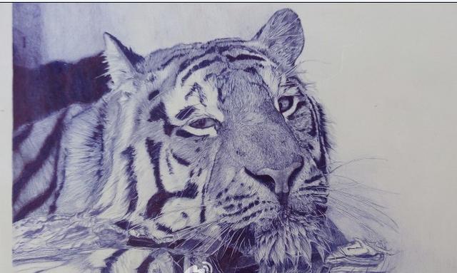 少年用圆珠笔作画 挥出超逼真画像