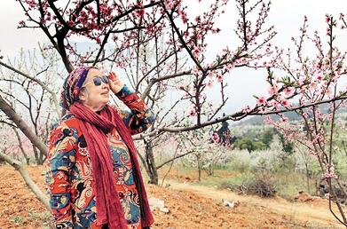 [视频]84岁奶奶拍赏花照 意外成网红