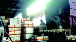 [视频]食品厂回收死虾加工成虾仁 负责人：它没死只是脑死亡