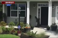 [视频]鳄鱼拜访民宅起身“敲门” 发现没人后离开