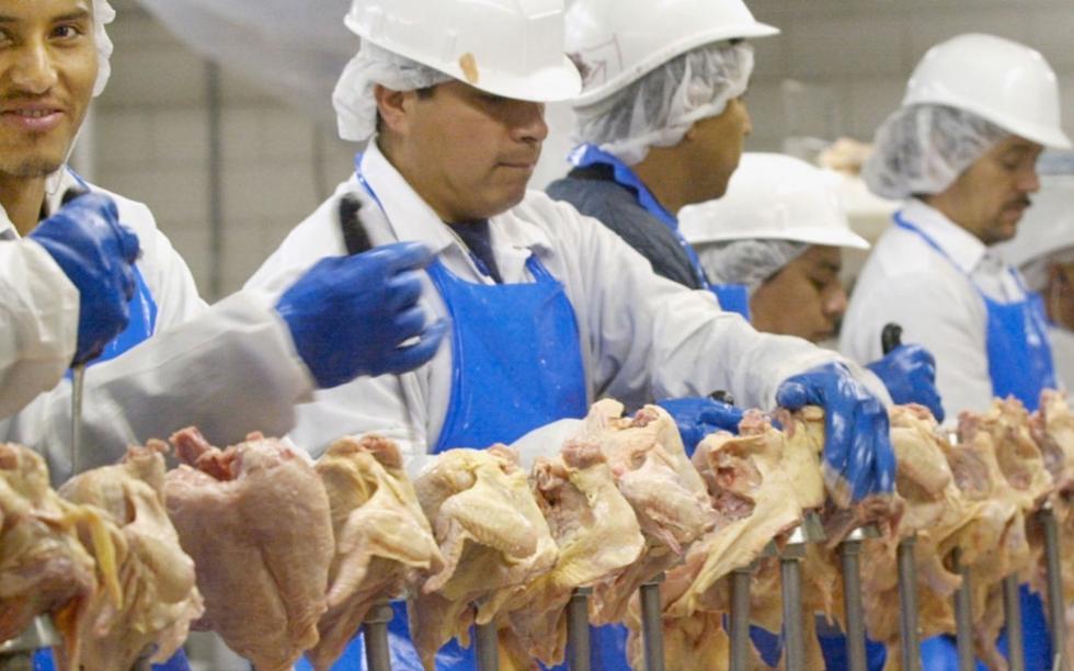 [视频]美国多家家禽企业禁上厕所 员工被迫穿纸尿裤
