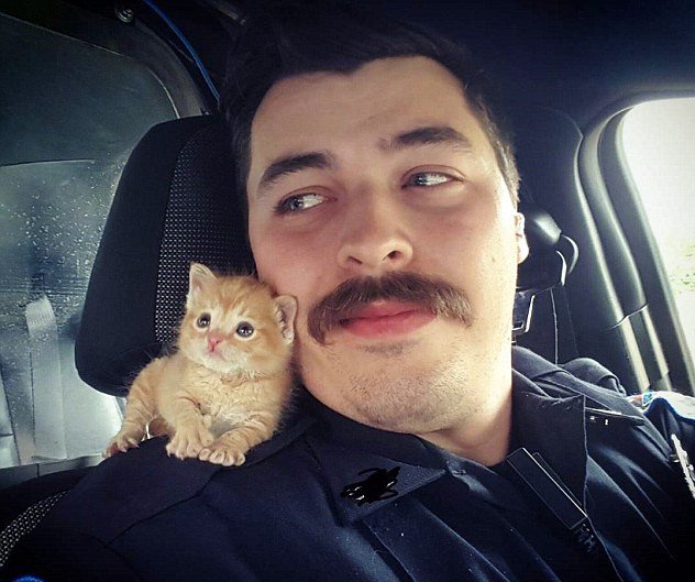 [视频]美国警察救小猫后带其巡逻 一人一猫成网红 