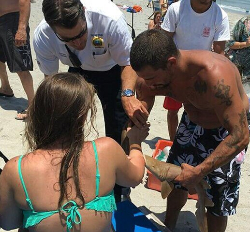 [视频]好一只任性鲨鱼！咬住游客手臂不松口一起被送医