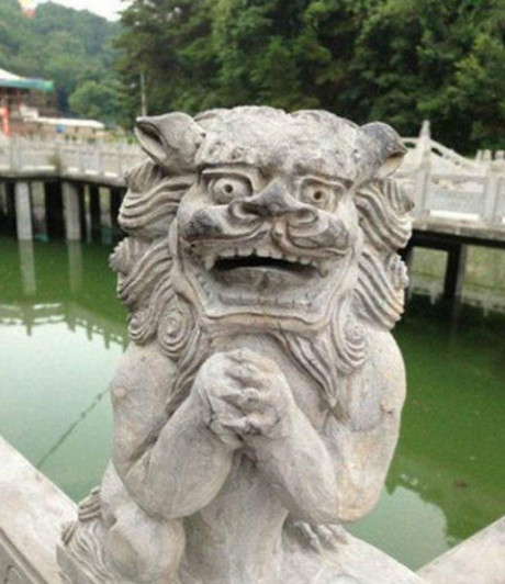 [视频]萌即正义！石狮宝宝们散发卖萌力护宅看家