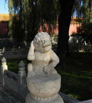 [视频]萌即正义！石狮宝宝们散发卖萌力护宅看家